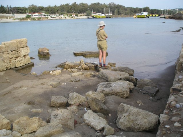 Photograph
