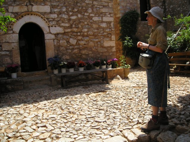 Photograph