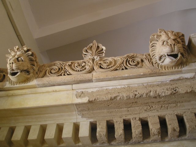 Photograph