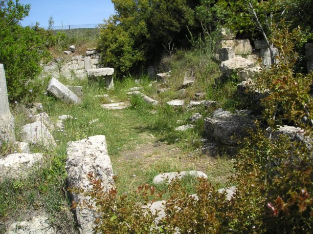 Photograph