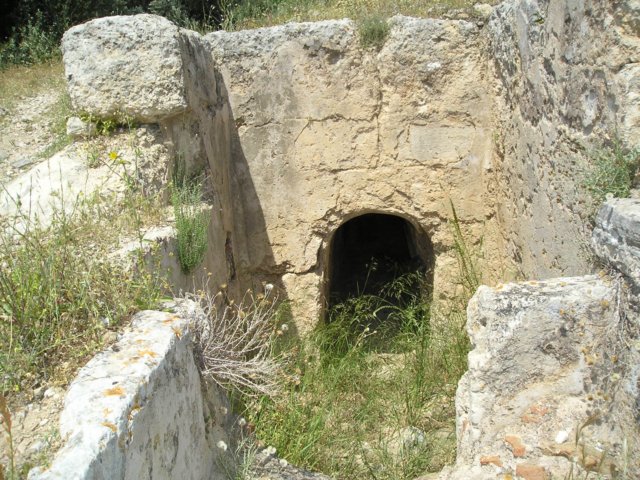 Photograph
