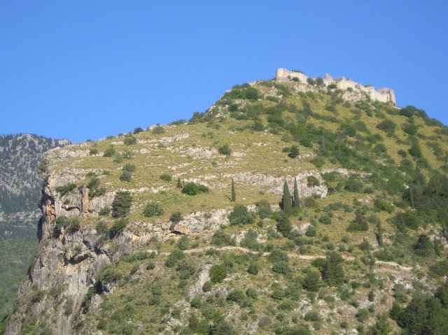Photograph