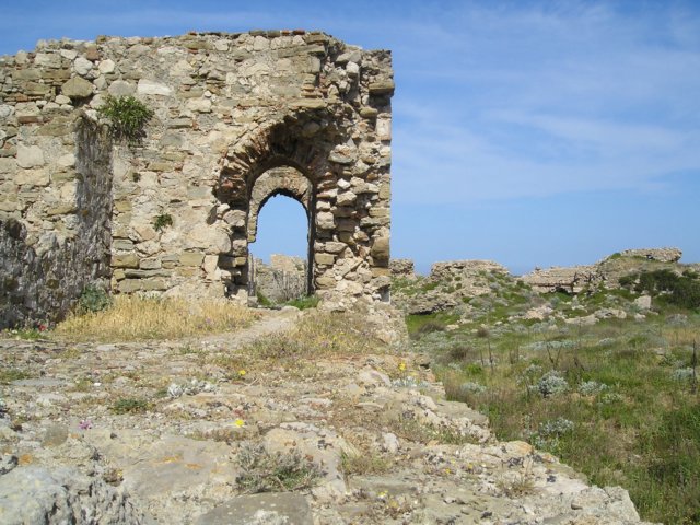Photograph