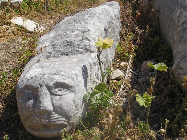 Photograph