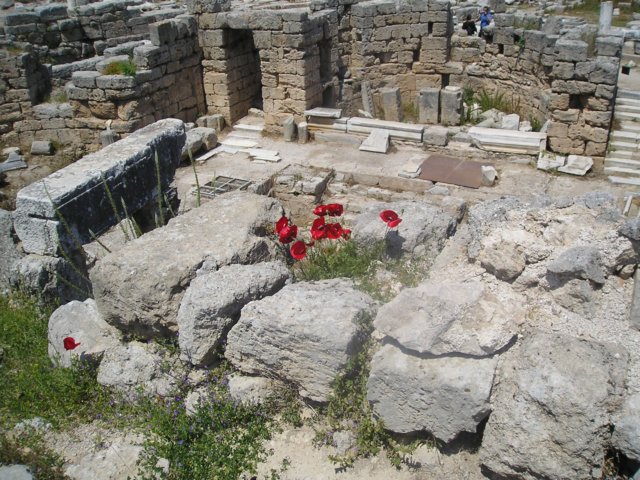 Photograph