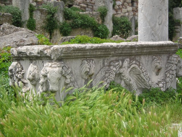Photograph
