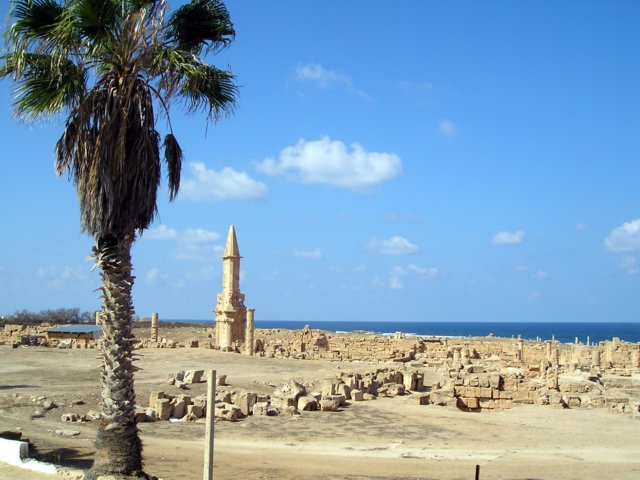 Photograph