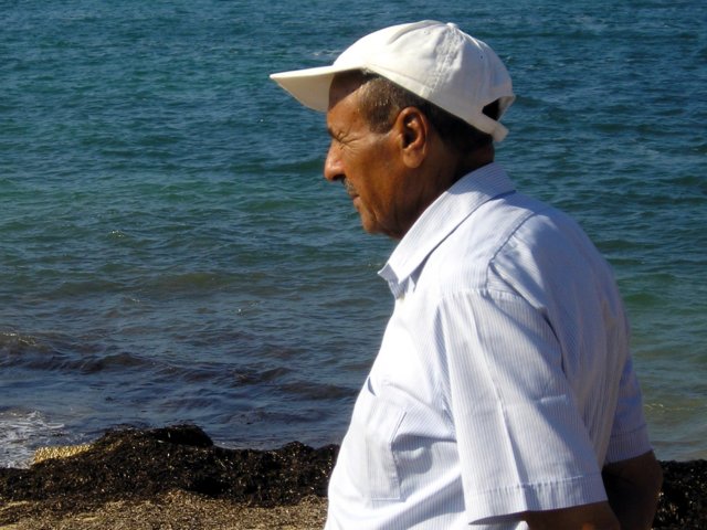 Photograph