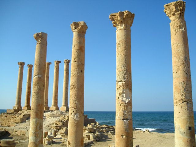 Photograph
