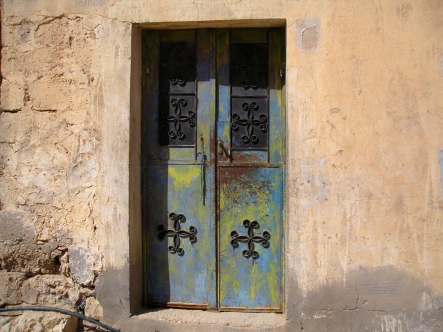 Photograph