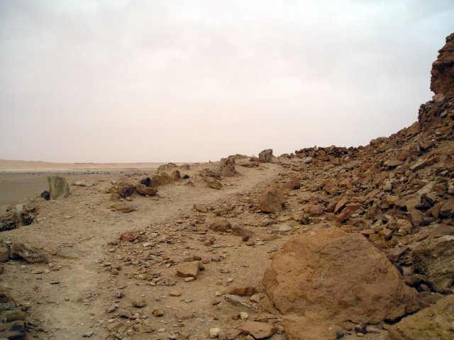Photograph