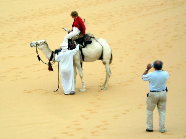 Photograph