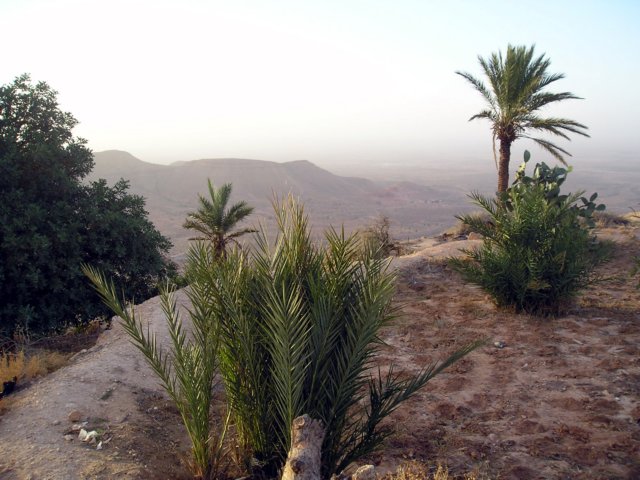 Photograph