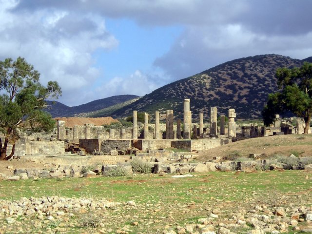 Photograph