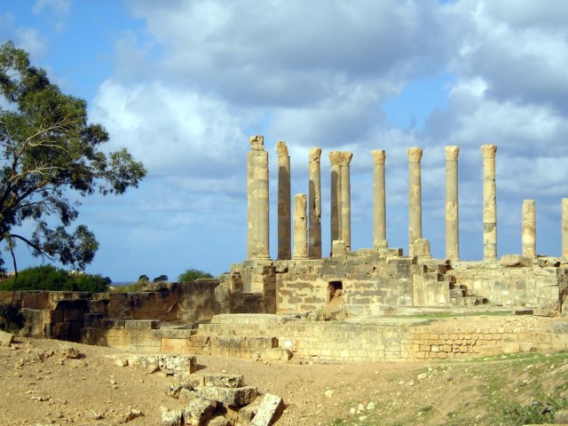 Photograph