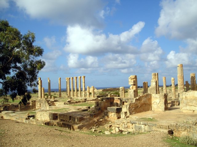Photograph