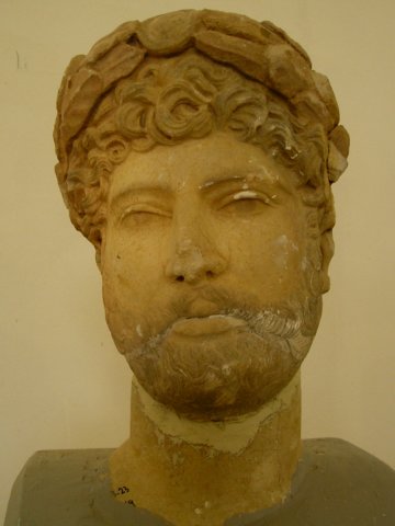 Photograph