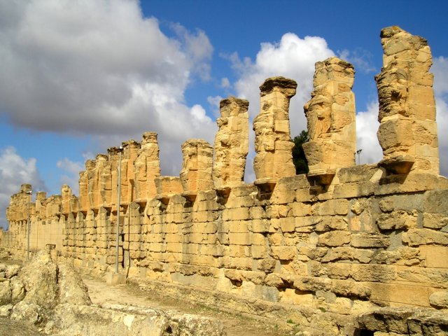 Photograph