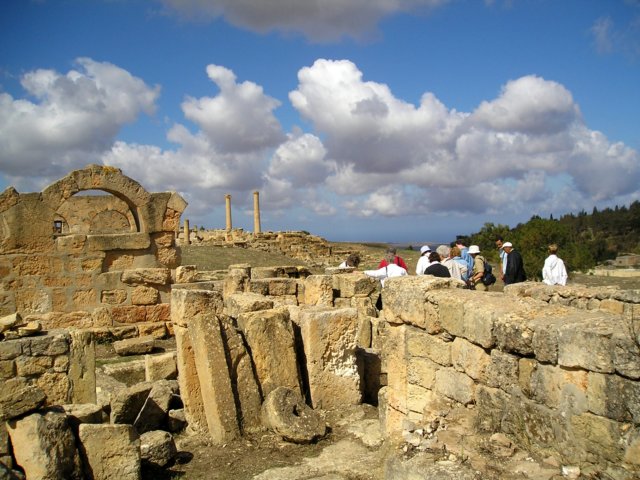 Photograph