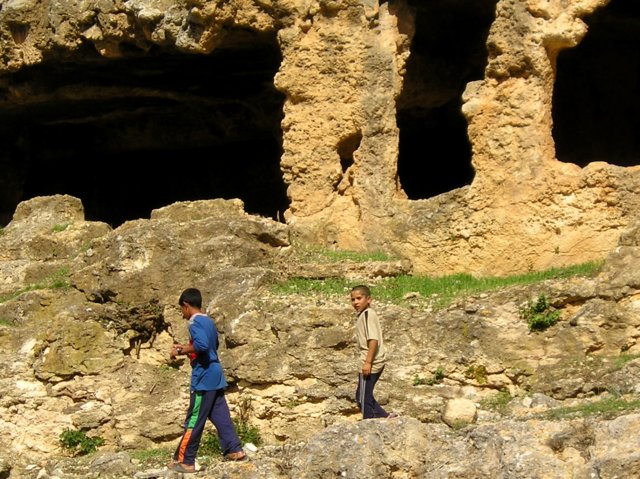 Photograph