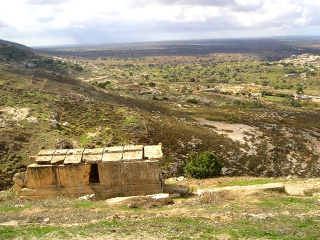 Photograph