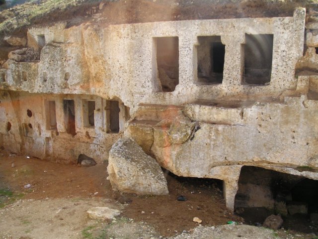 Photograph