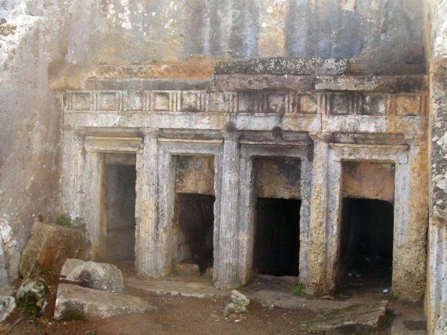 Photograph