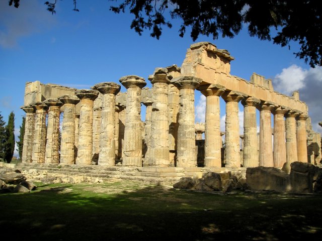 Photograph