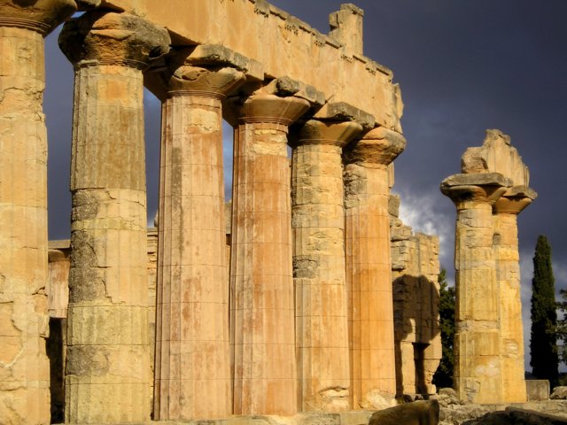 Photograph