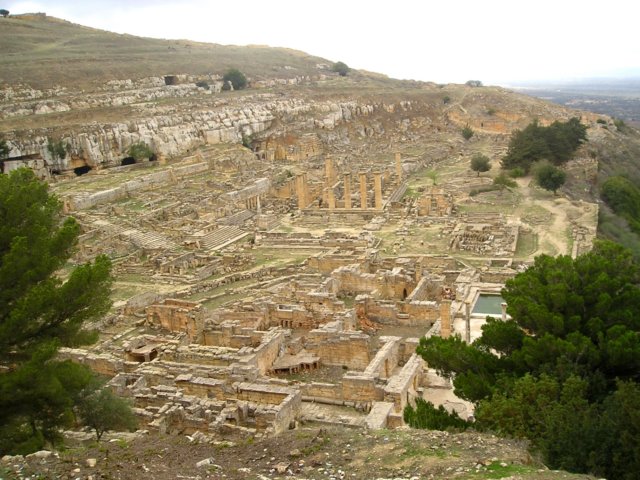 Photograph