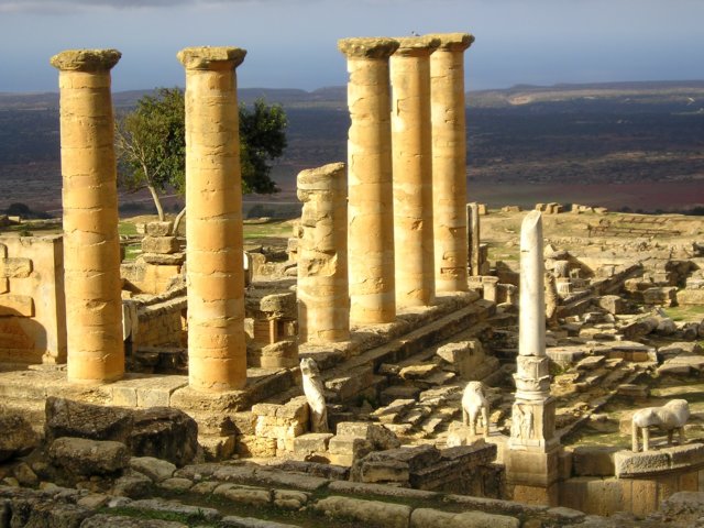 Photograph