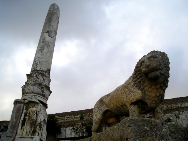 Photograph