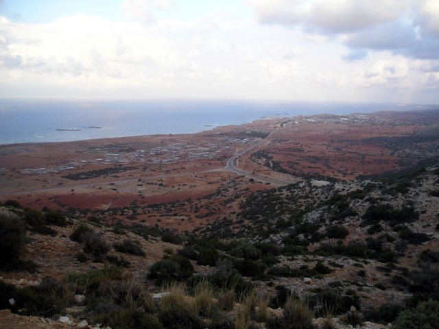 Photograph