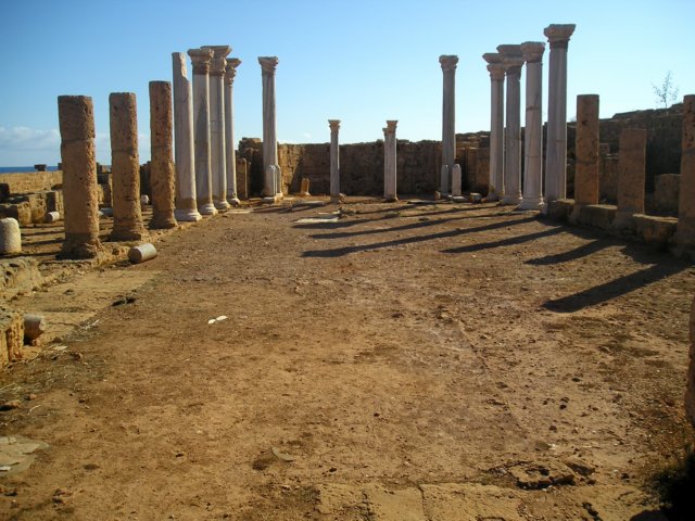 Photograph