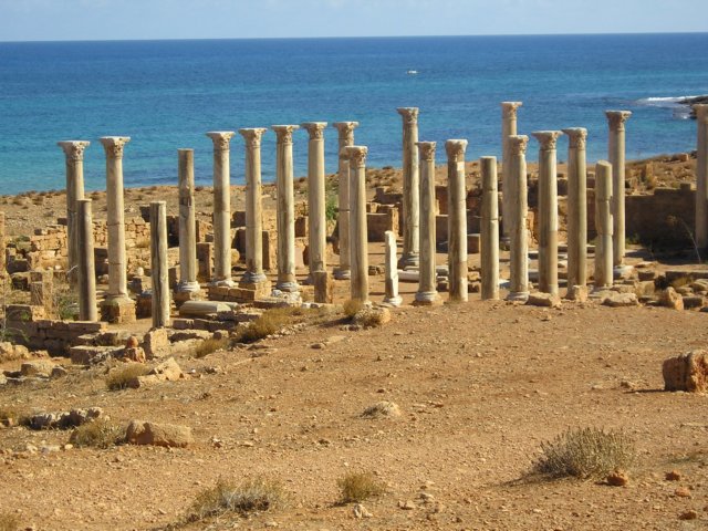 Photograph