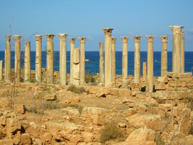 Photograph