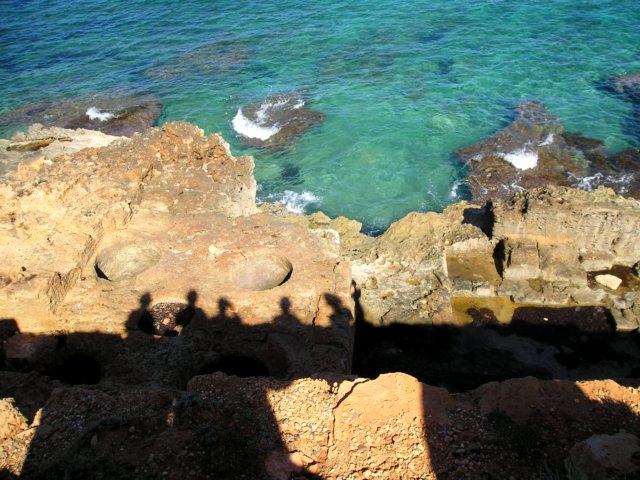 Photograph