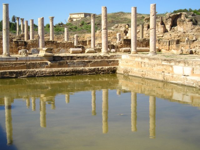 Photograph