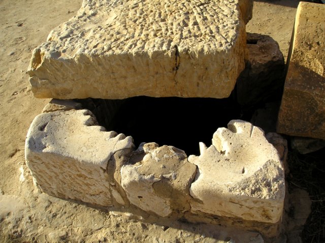 Photograph