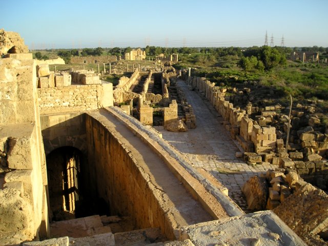Photograph