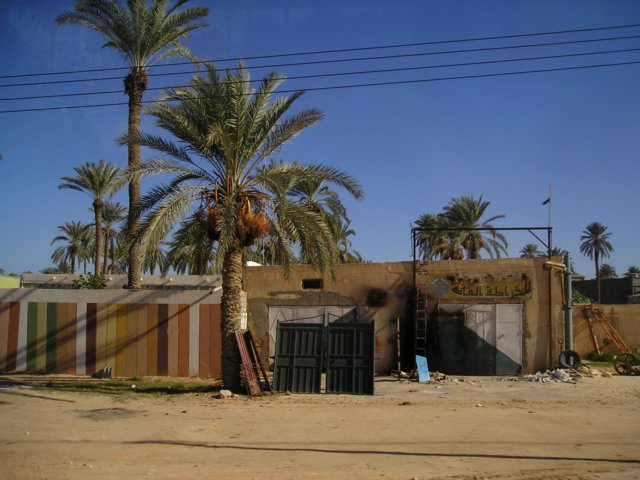 Photograph