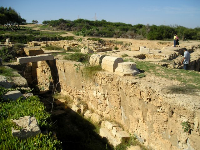 Photograph