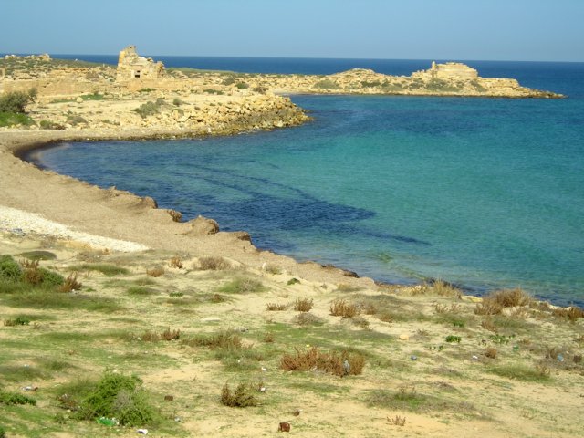 Photograph