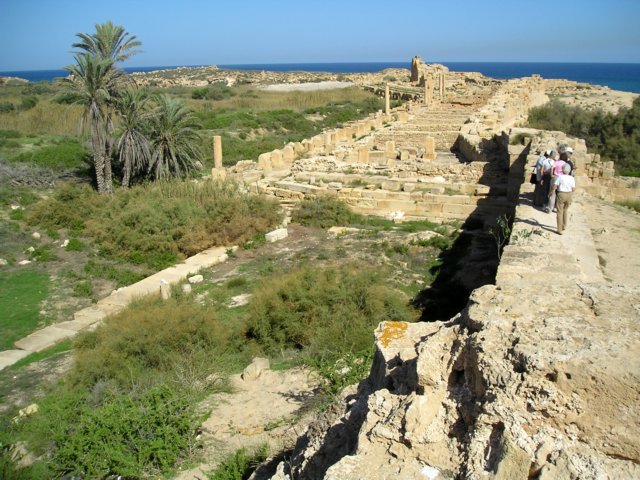Photograph