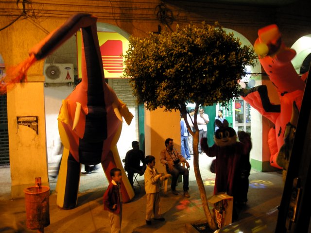 Photograph