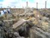 Photo Number 464