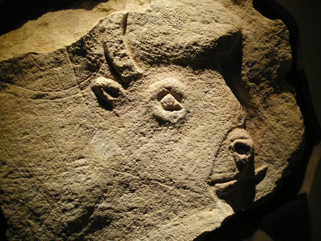 Photograph