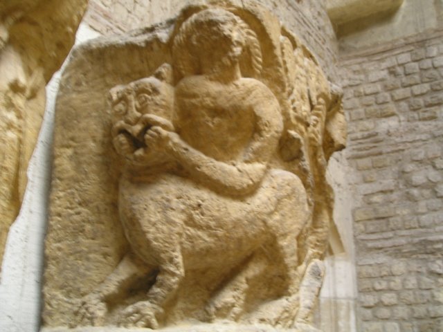 Photograph