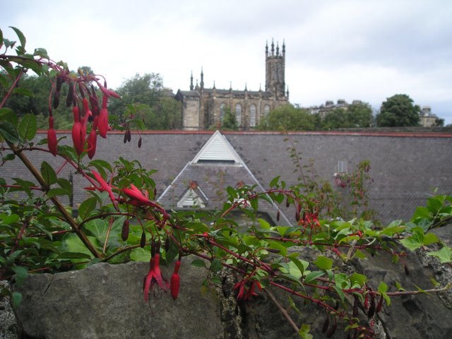 Photograph