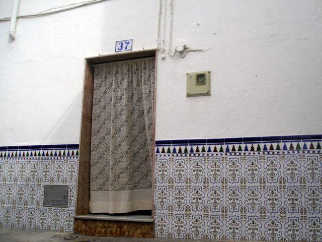 Photograph